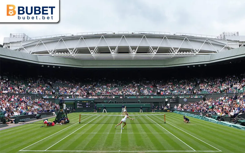 Tennis 1 Giải quần vợt Wimbledon năm 2024